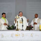 EIJL 2013