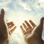 Dia de Ação de Graças: mensagem do Ir. Provincial